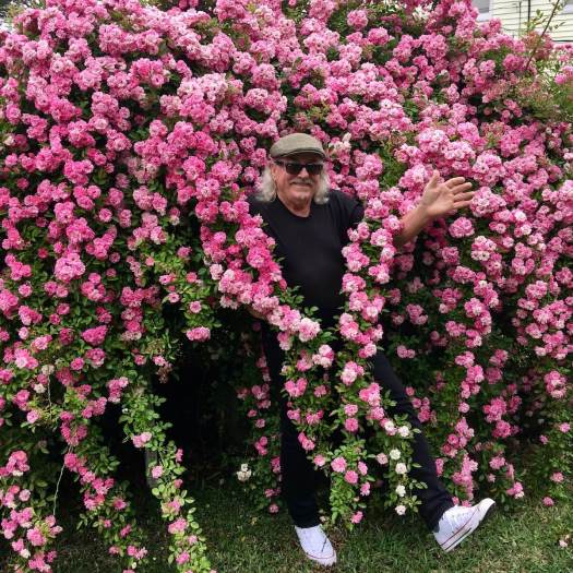 Felder Rushing wearing a 'Peggy Martin' rose as a garland