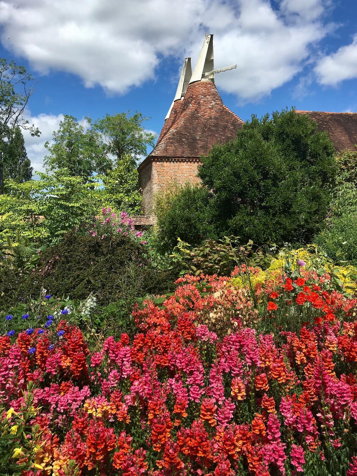 Antirrhinums by the Oast Houses