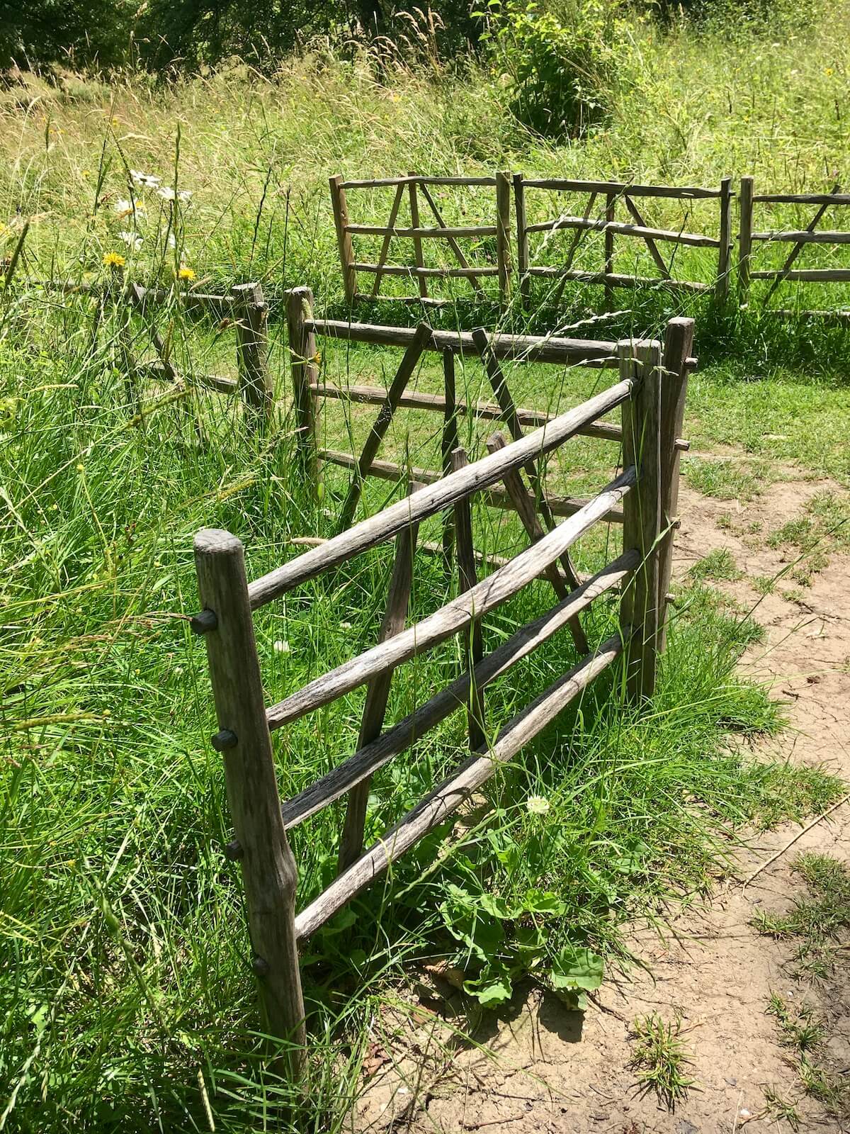 Knee-high, Arts and Crafts style fences in a meadow