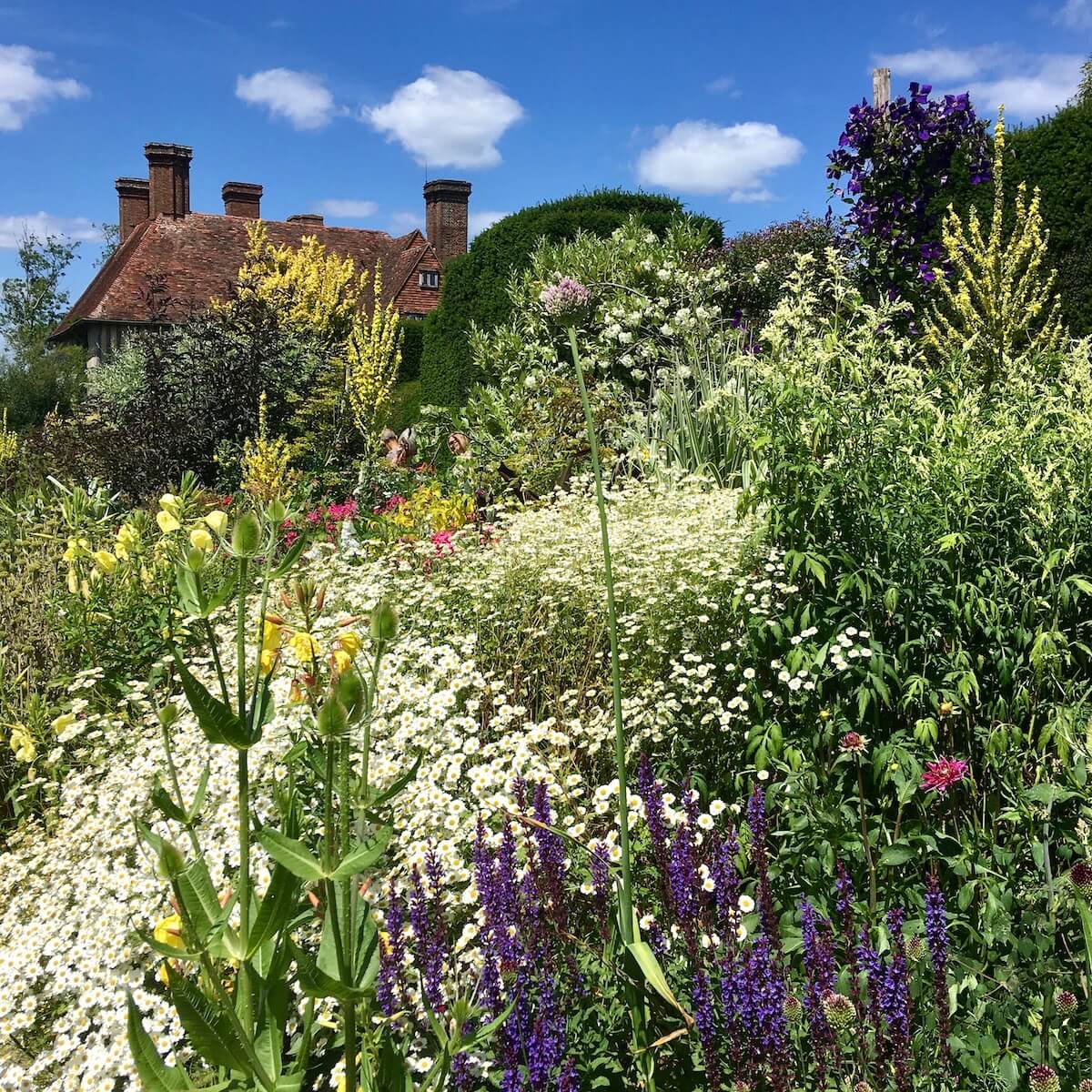 Yellow, white and purple flowers in Great Dixter's long border
