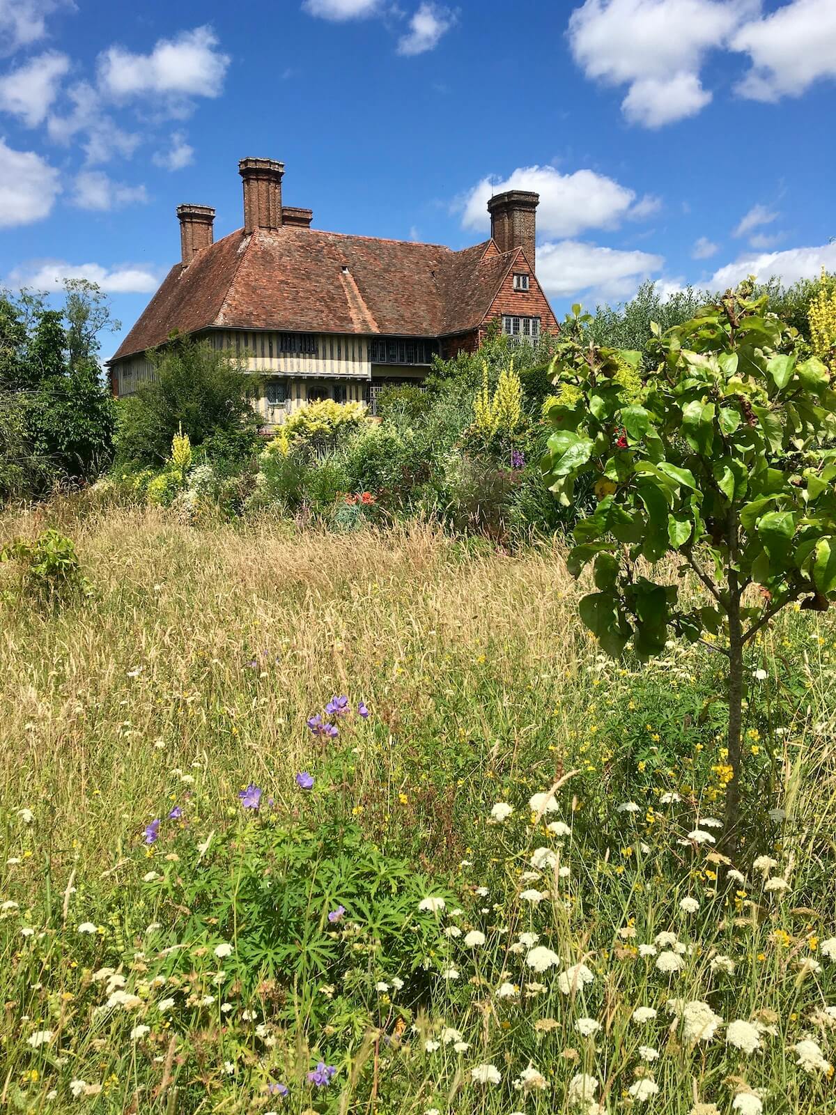 Orchard meadow at Great Dixter