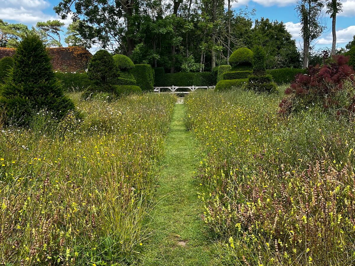 Path through wildflower meadow with topiary at Great Dixter