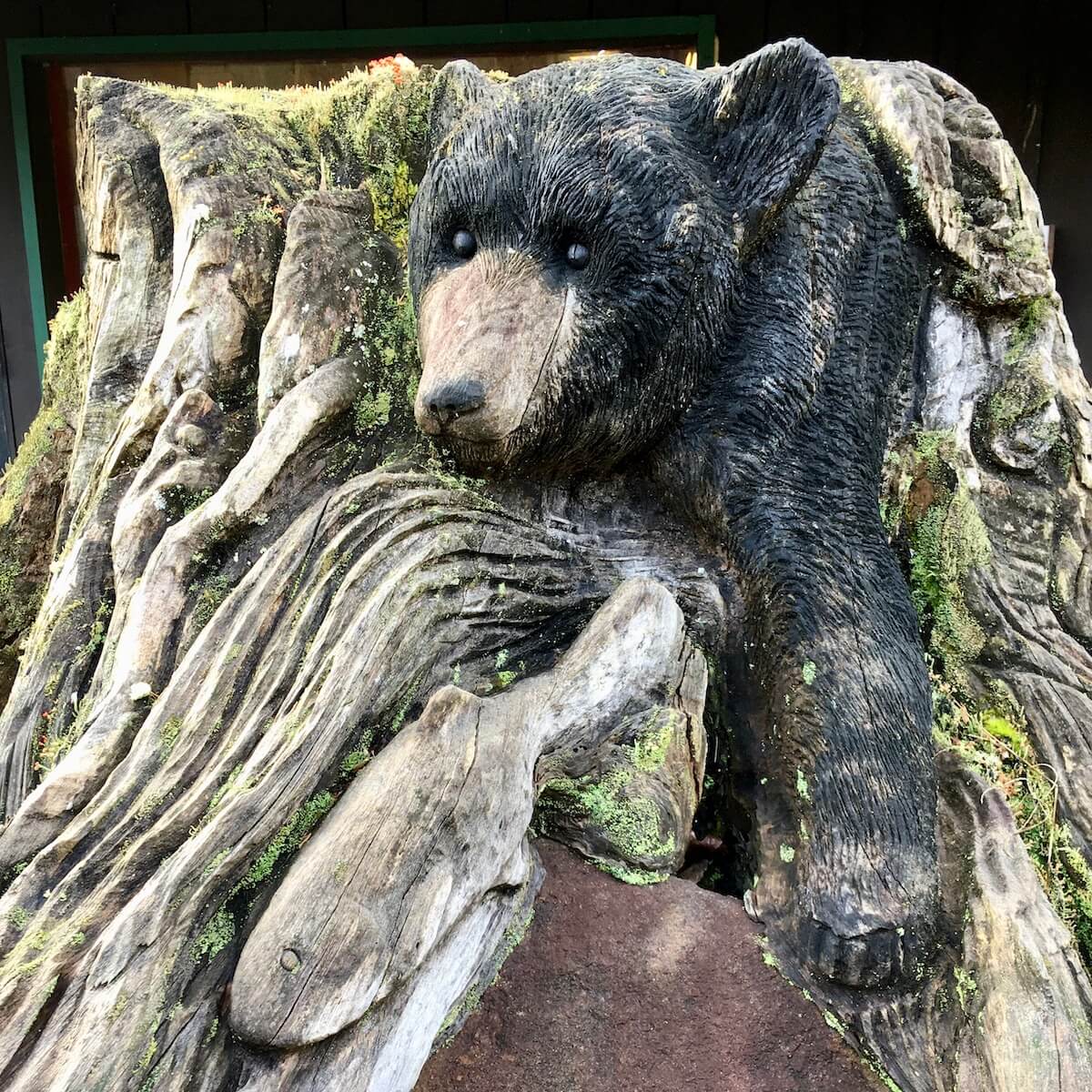 Stump art: bear, fish and a coating of moss
