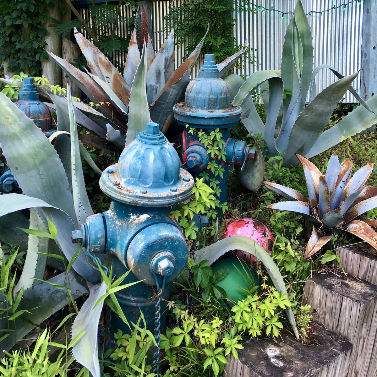 Hydrants and cacti, real and fake