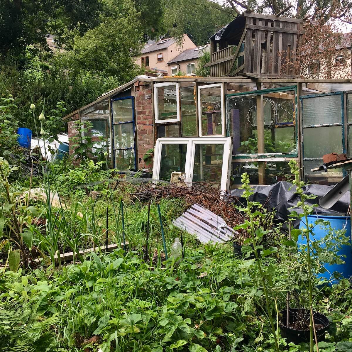 Greenhouse made from recycled windows of various styles