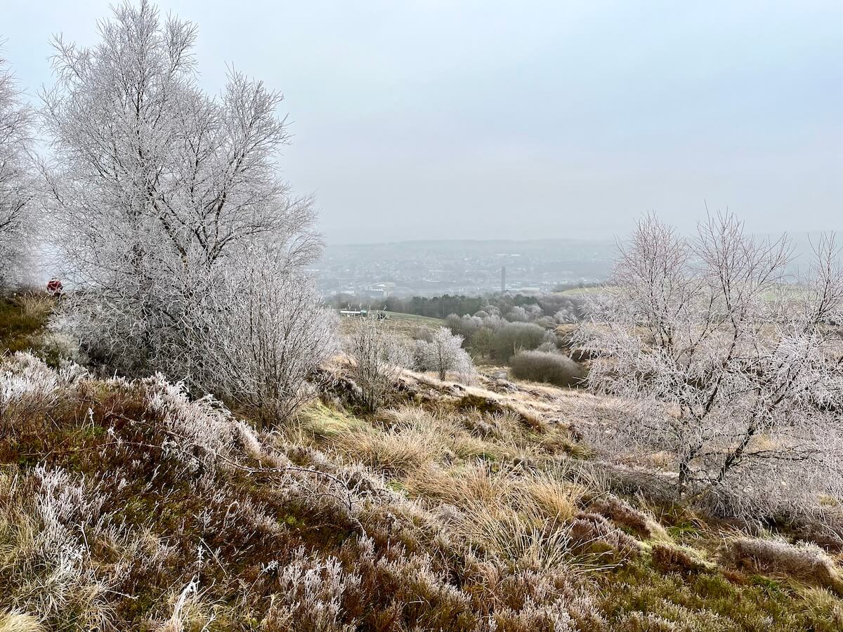 Looking over Darwen from the moor between hoar-frosted trees