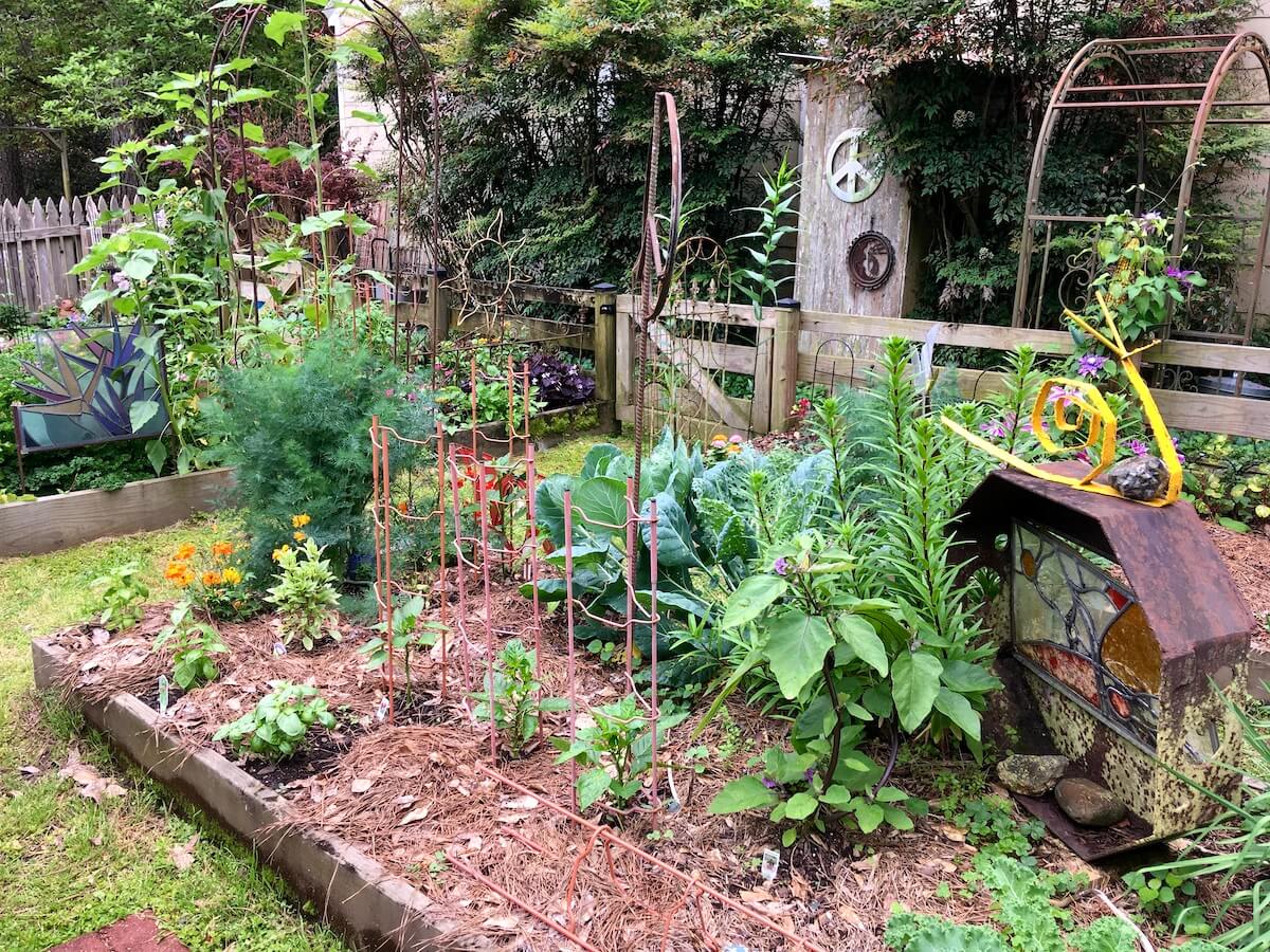 Don and Becky Potts' kitchen garden