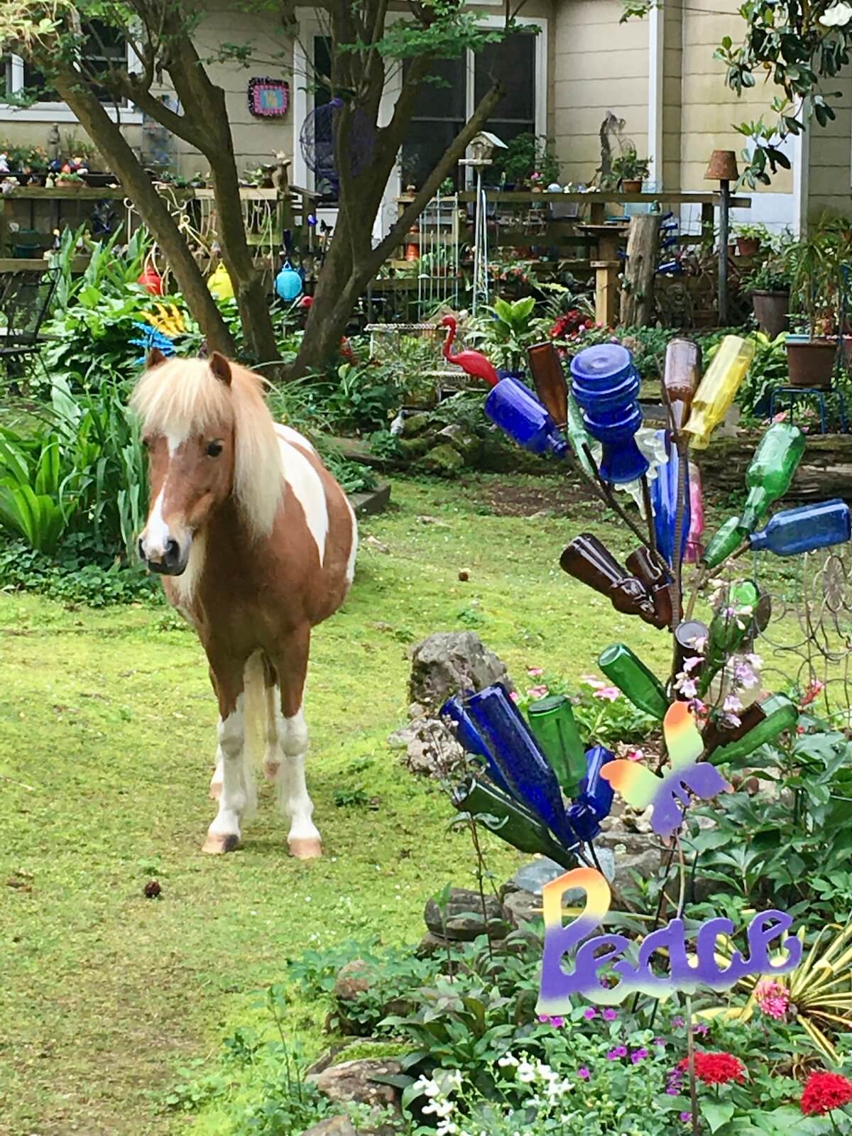 Miniature horse with bottle tree and a peace sign