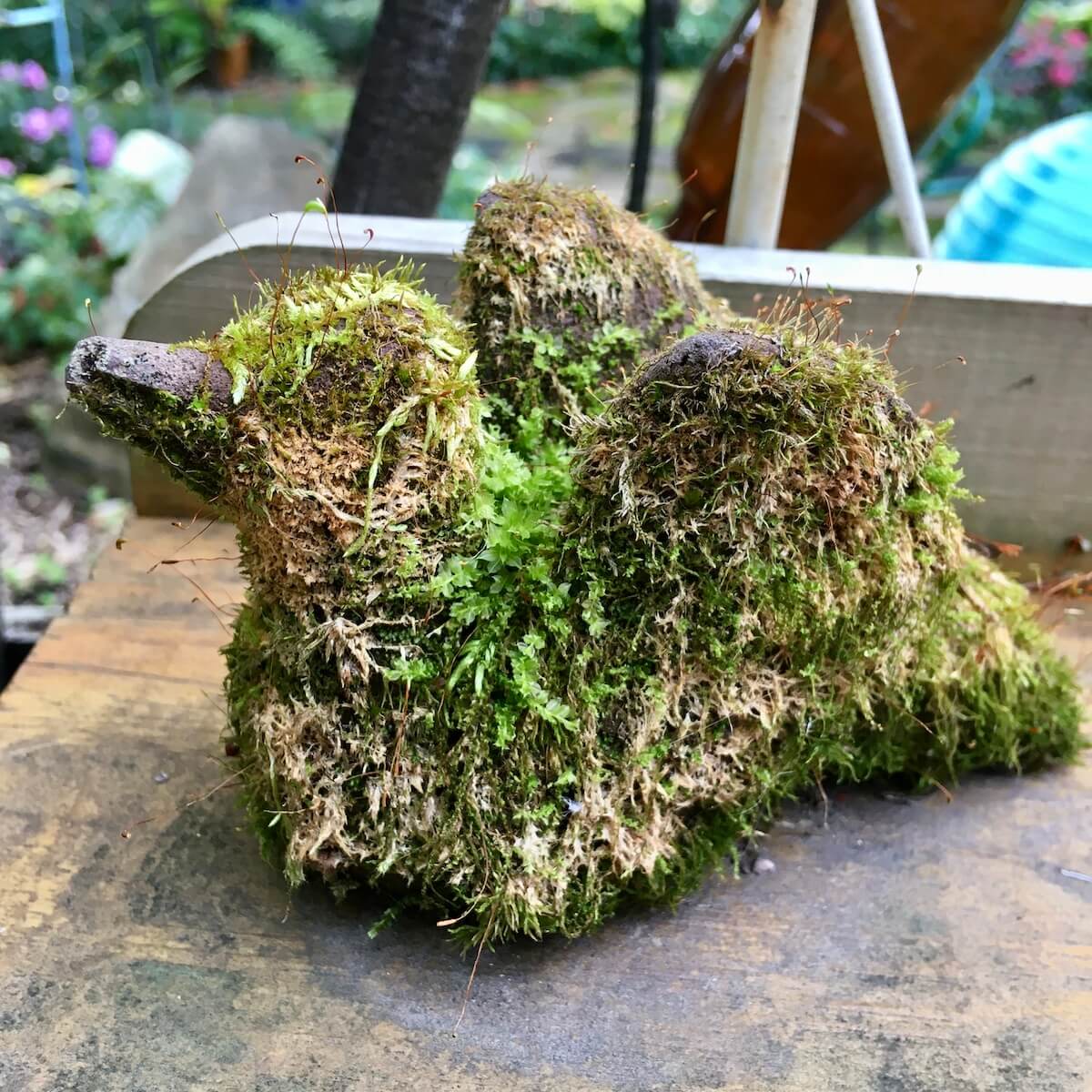 Mossed-over metal bird with just its beak showing