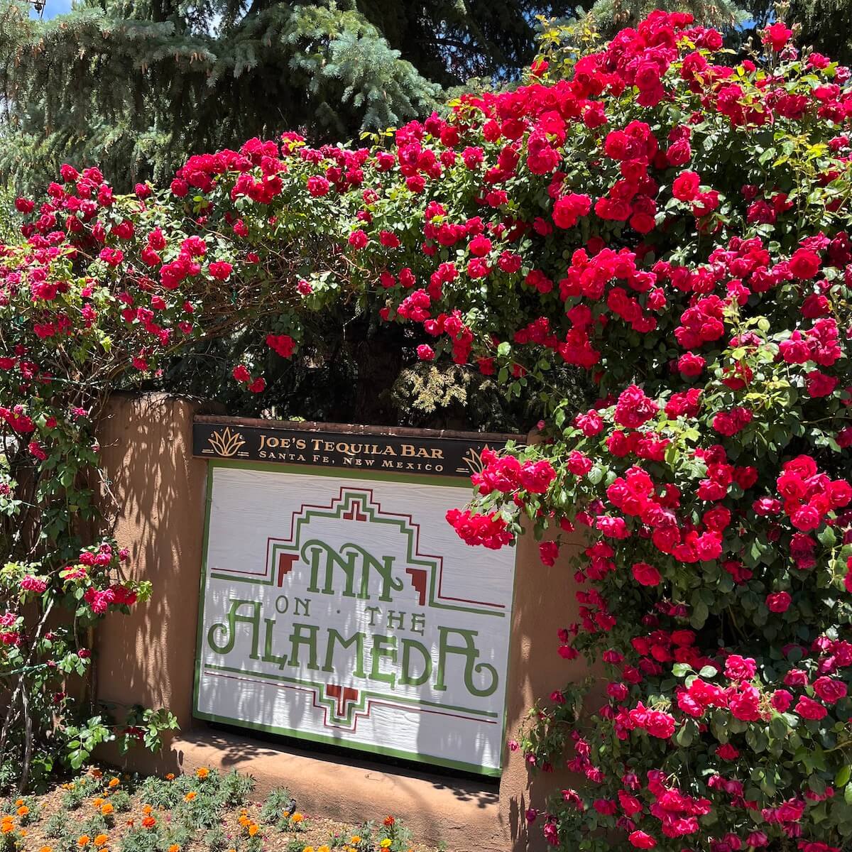 Red climbing rose around the sign for Inn on the Alameda, Santa Fe