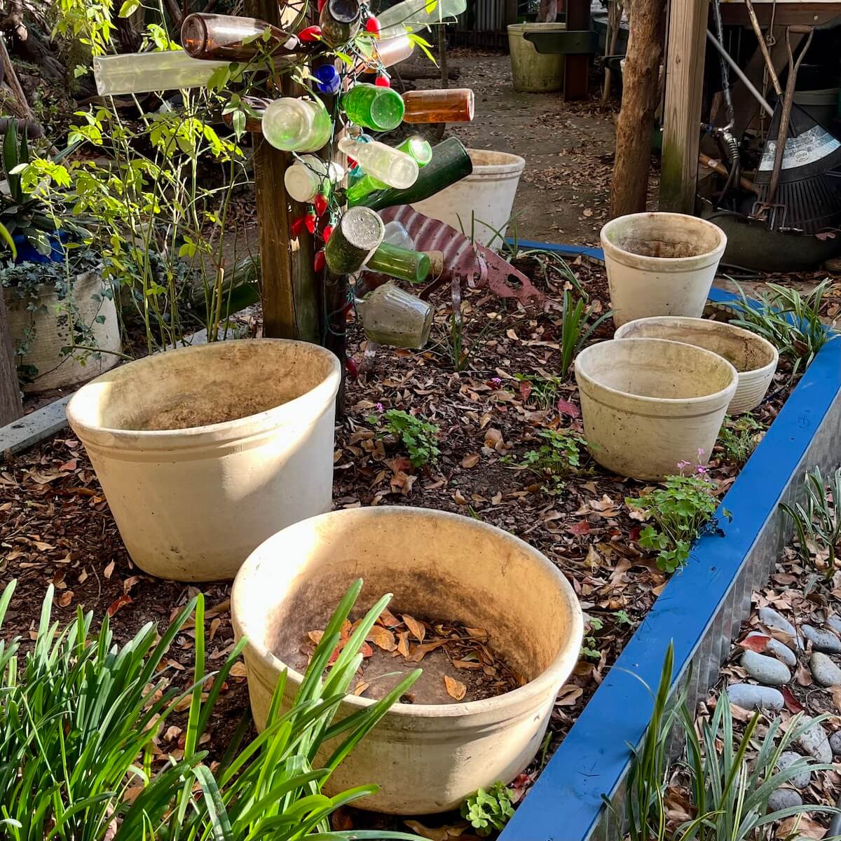 An assortment of creamy white clay pots on a raised bed