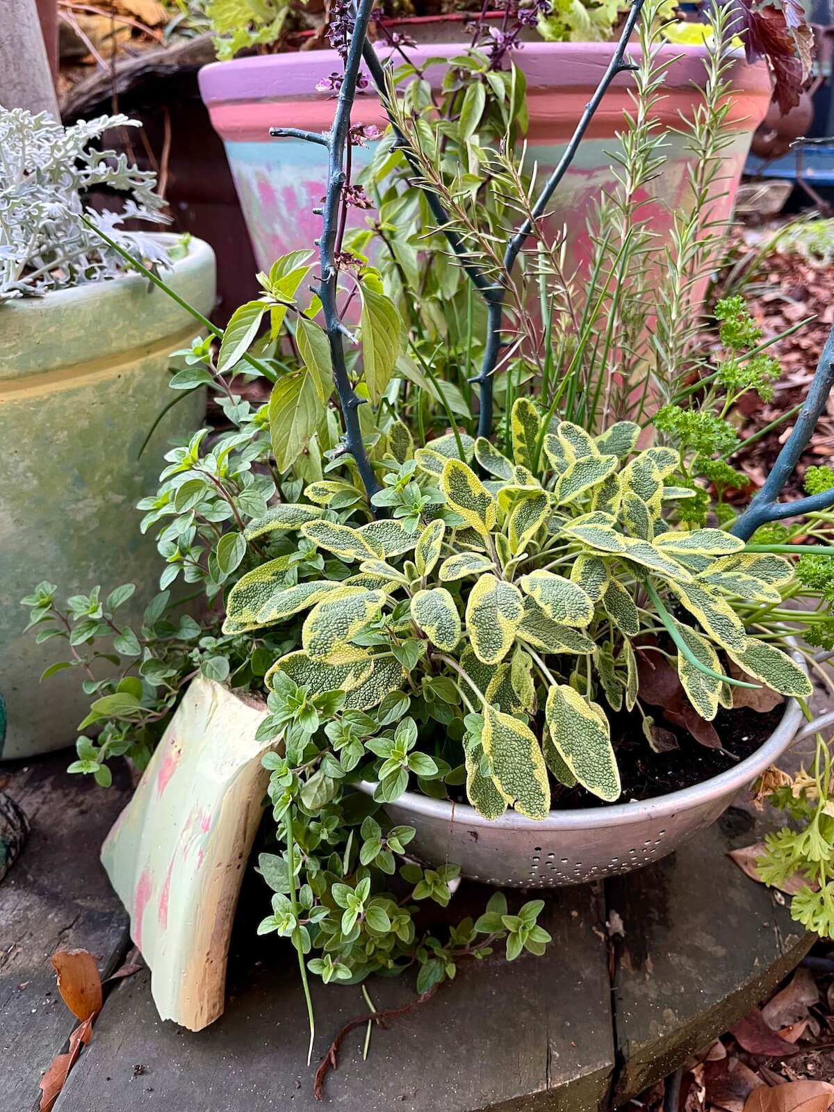 Bands of colour accentuate the pot rims